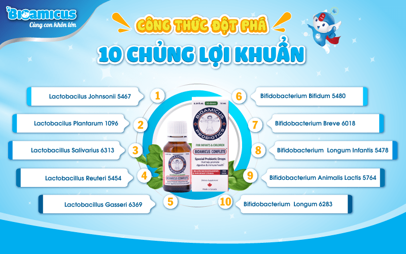 thành phần men 10 chủng BioAmicus